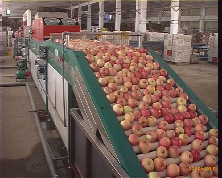 苹果清洗打蜡机厂家直销 水洗苹果打蜡机 专业