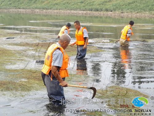 水草治理改善水生态环境