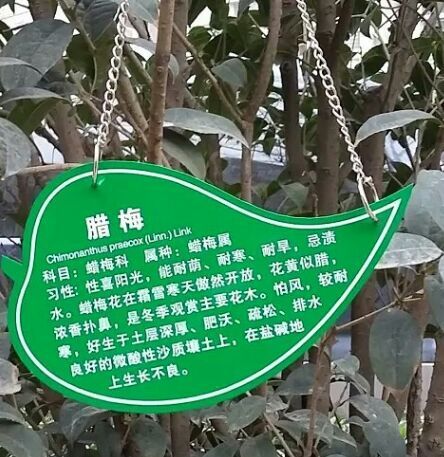 学校植物标志牌 植物铭牌 小树说明牌批发-植物