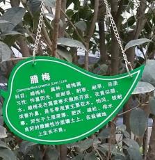 学校植物标志牌 植物铭牌 小树说明牌批发