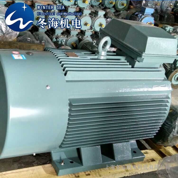tyjx280m1-16 22kw 永磁电机