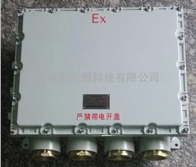 400*500*200防爆箱,iibt4-t6防爆配电箱 bjx防爆控制箱分线箱