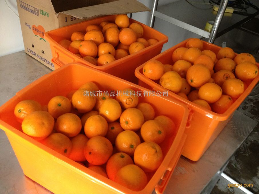 【山东地区】优质橙子专用清洗设备 质高价优