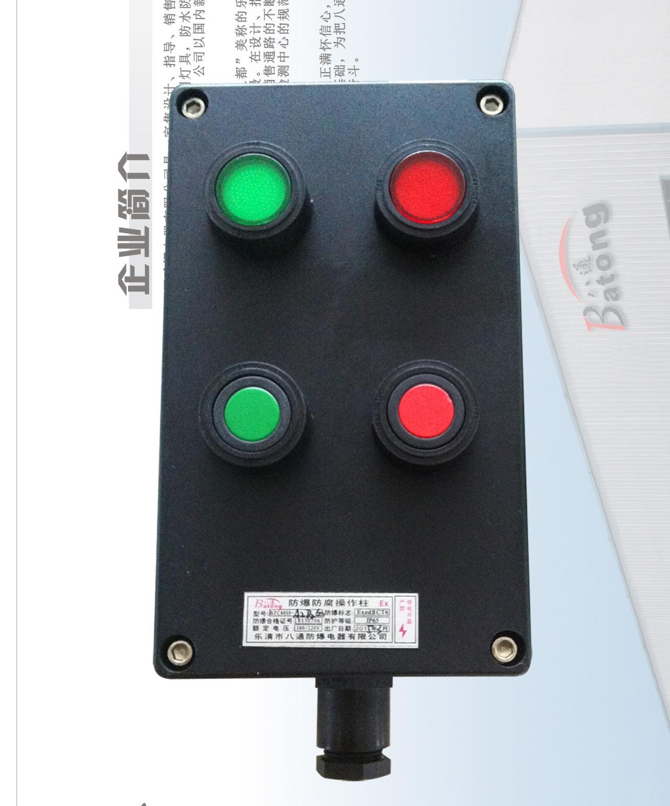 防爆防腐立杆箱BZC8050-A2D2G
