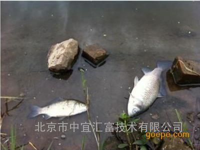 中国化工废料(废弃危险化学品)污染处置焚烧设