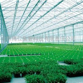 温室大棚、农业物联网解决方案、精准农业控制系统