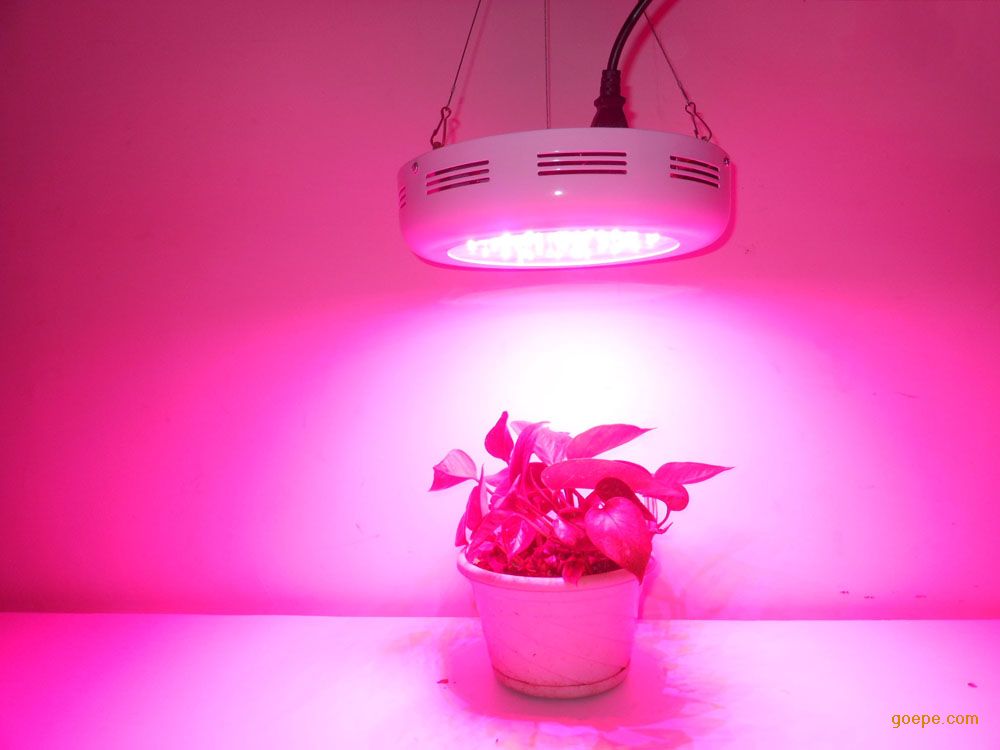 75W 圆形LED植物灯 农业补光灯 LED植物生长灯