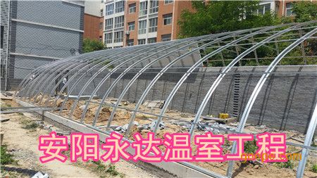 石家庄单体大棚建设中心山西大同几字钢温室安装成本