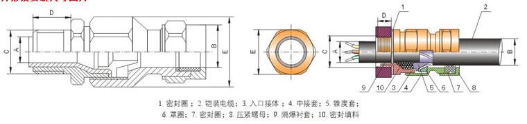 btl-ii铠装电缆填料函