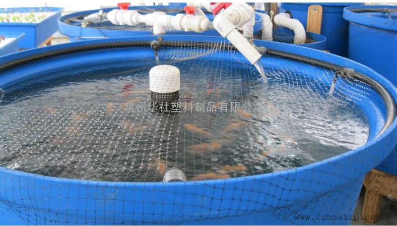 四川1000L食品级腌制桶1吨鱼菜共生系统水稻