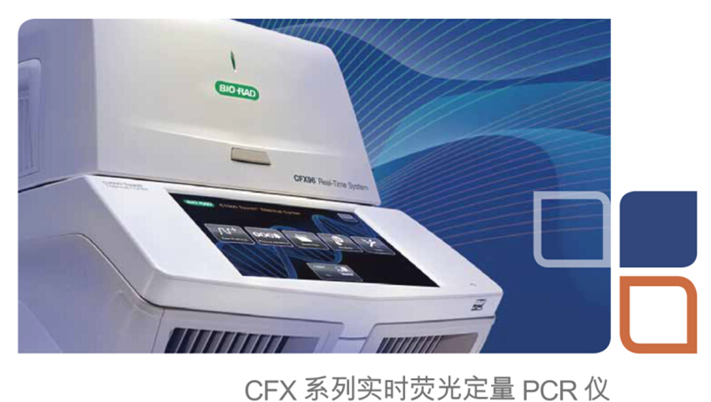 cfx96 touch 实时荧光定量pcr仪 美国伯乐