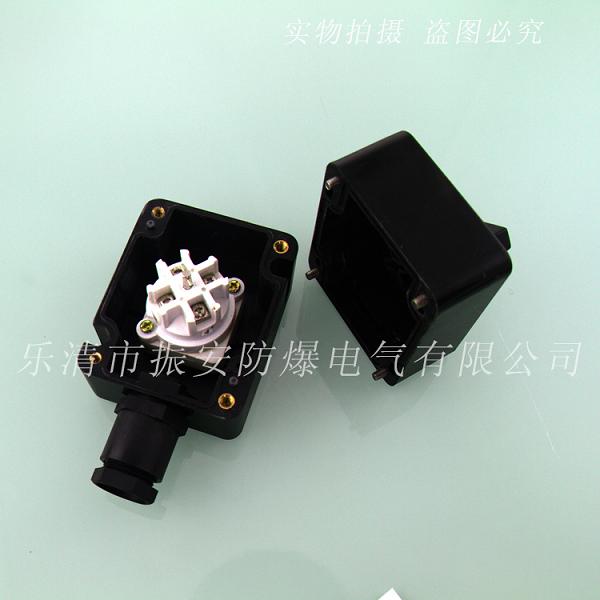 防爆防腐照明开关,防水防尘开关厂家直销
