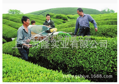 产品展示 茶树修剪机/采茶机 日本川崎茶业机总经销