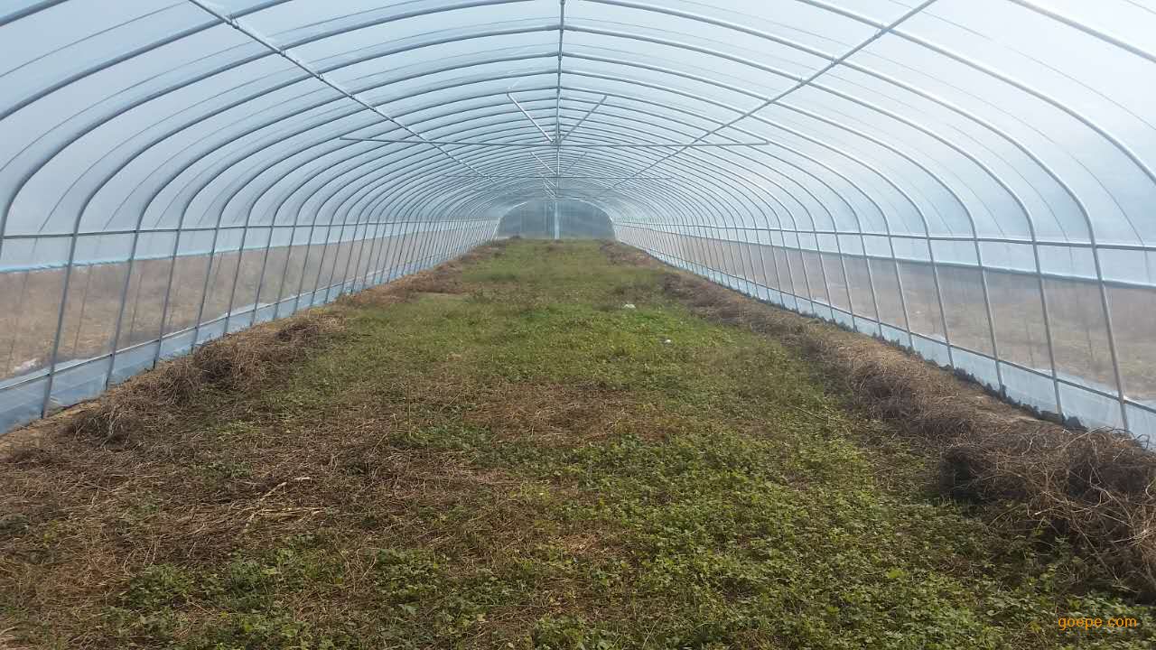 漯河温室大棚建造基地简易拱棚建造规格