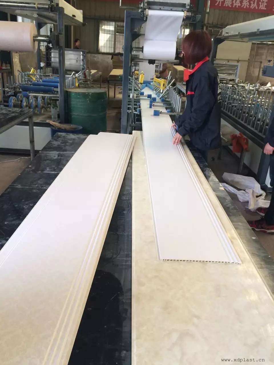 pvc竹木纤维墙板生产线设备