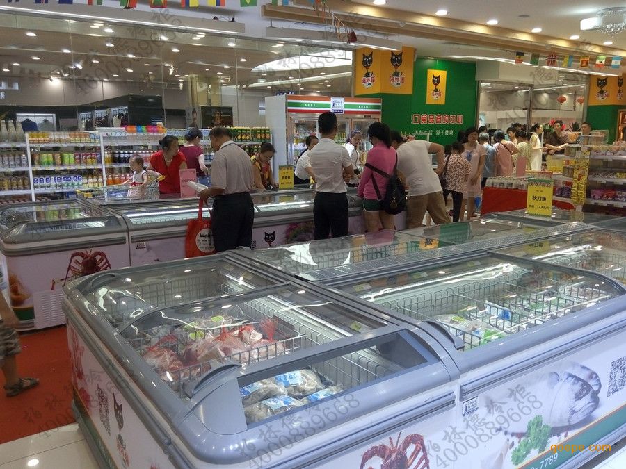 进口超市冷冻岛柜-进口食品专用冷柜