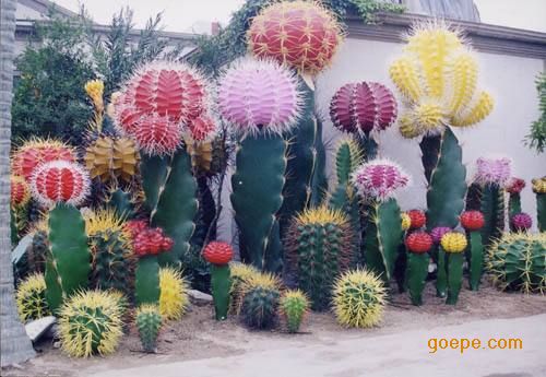 东莞雕塑厂家供应玻璃钢仿真植物雕塑 仿真仙