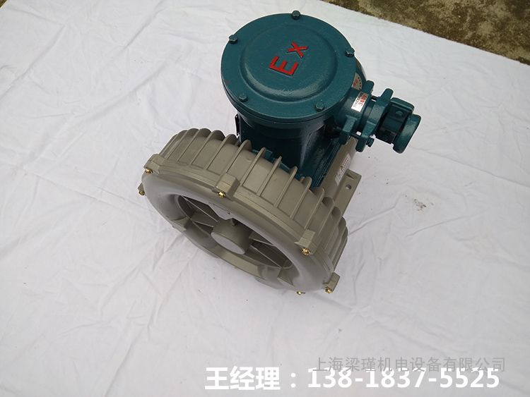 隔爆型鼓風機現貨