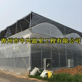 大庆建造大型育苗温室大棚的承包商 大庆玻璃育苗温室大棚成本