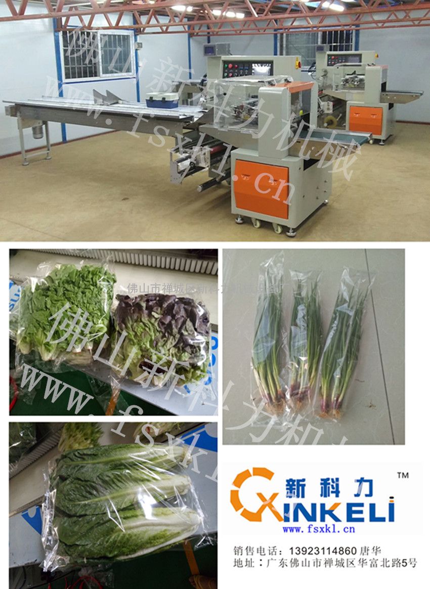 精品袋子装蔬菜包装机,超市销售枕式蔬菜包装机