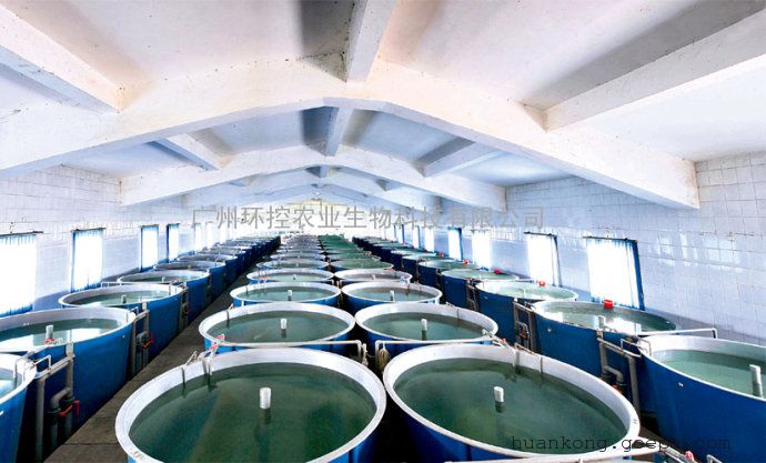 高密度养鱼鱼池设计