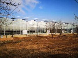 奥农苑温室工程之智能连栋玻璃温室大棚