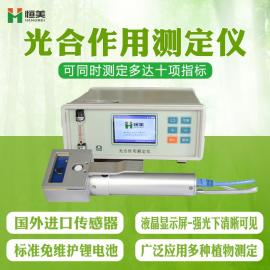 恒美光合作用测定仪器HM-GH10