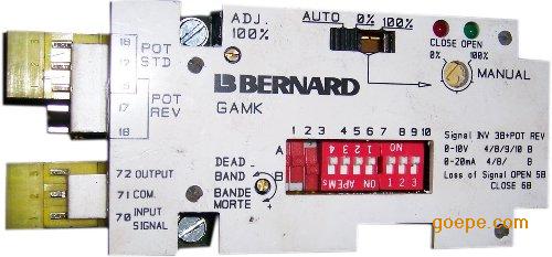 bernardGAMK