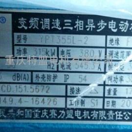 赛力盟YPT355变频调速三相交流异步电动机厂价销售