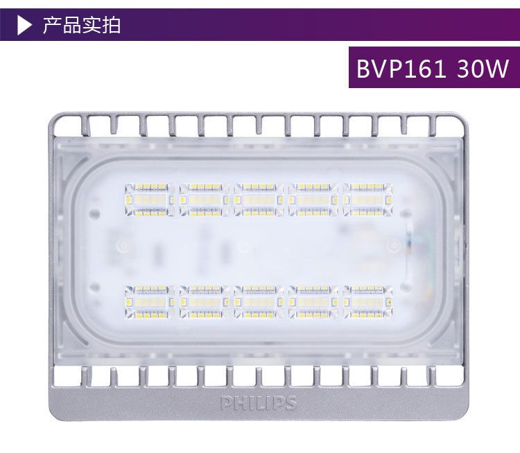 BVP161/30W LED