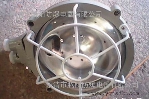 BXL-系列防爆吸顶灯