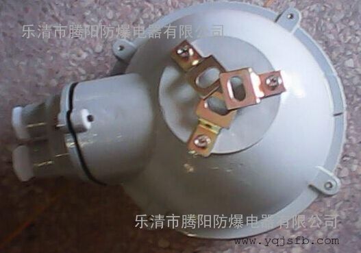 BXL-系列防爆吸顶灯