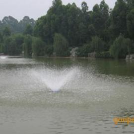 厂家直销 3寸4寸鱼塘增氧泵浮水泵