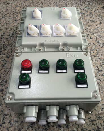 220V/IP55/6·10A