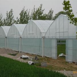钢架塑料薄膜蔬菜大棚建造施工