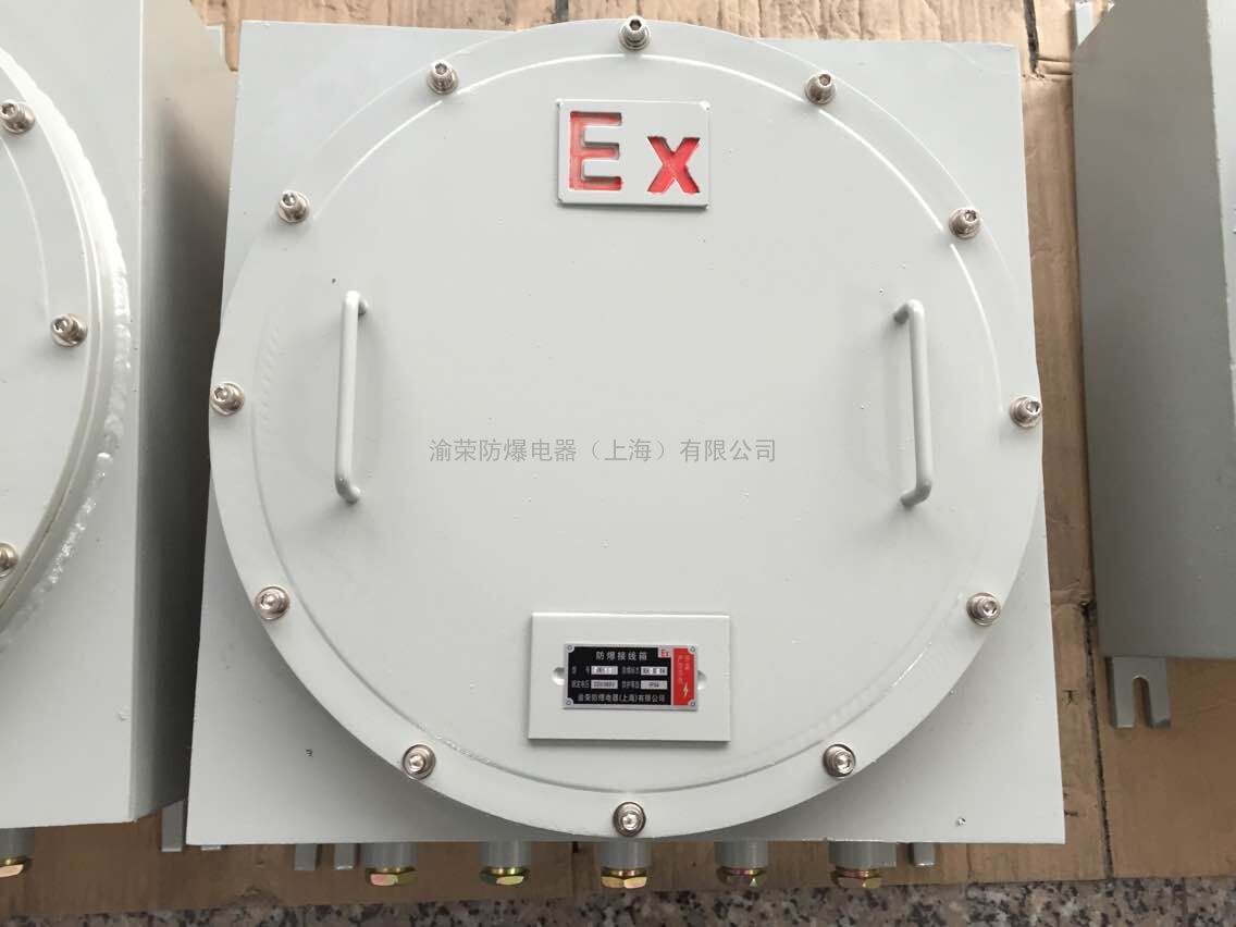 哪里有煤化工专用的iic级防爆接线箱?_iic级防爆接线箱 隔爆型防爆接