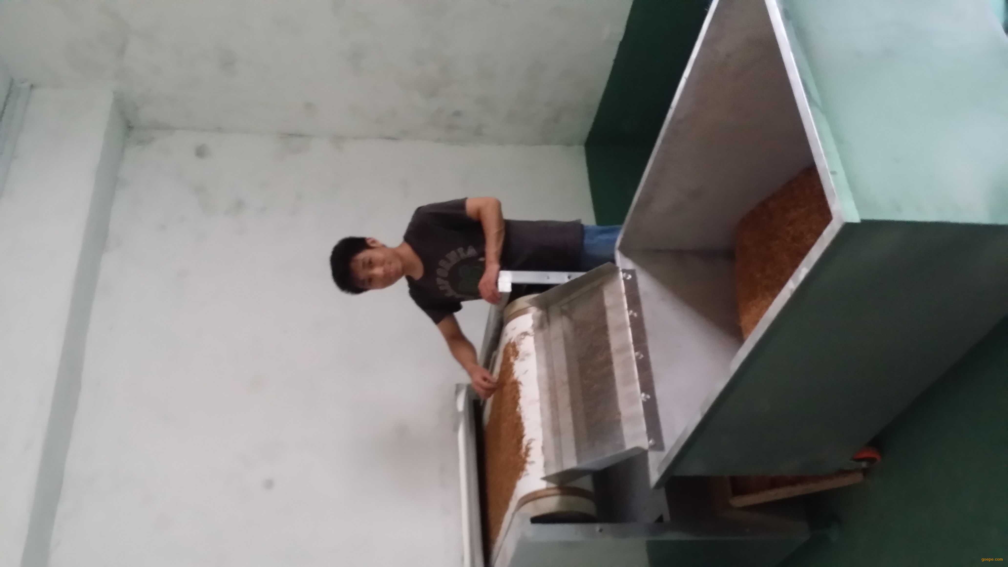 如何制作面包虫干 2_1468219226_4161.jpg