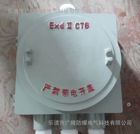 ExdIICT6 ExtDA21 IP65