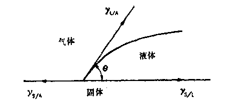 露珠呈球状是什么原理_露珠图片