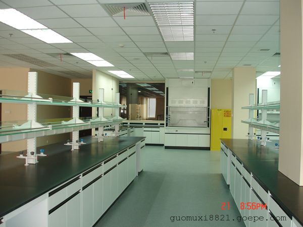 广州*实验台通风柜，实验室家具系列产品，可非标定做，咨询优