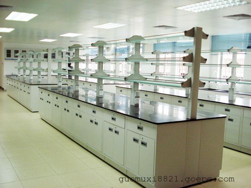 供应广东实验室家具，实验台，全钢实验台，中央实验台，实验室边