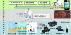 鿴ͼƬ