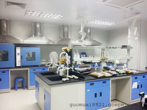 东莞全钢实验台，钢木实验台，化学实验室操作台，实验室家具生产