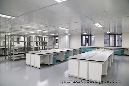 广东实验台厂家，通风柜实验台，实验室中央台，化验室操作台