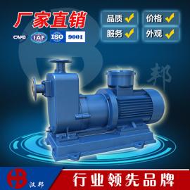 ZCQ型自吸磁力泵，不锈钢磁力泵,自吸泵