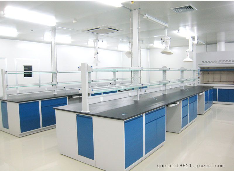 环扬*供应广州各市区实验室家具，实验台，通风柜，厂家直销