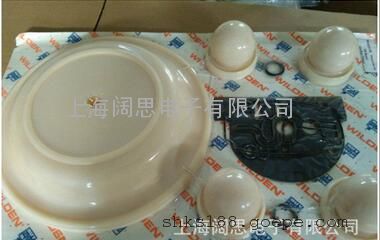 WILDENĤĤƬ08-1010-51