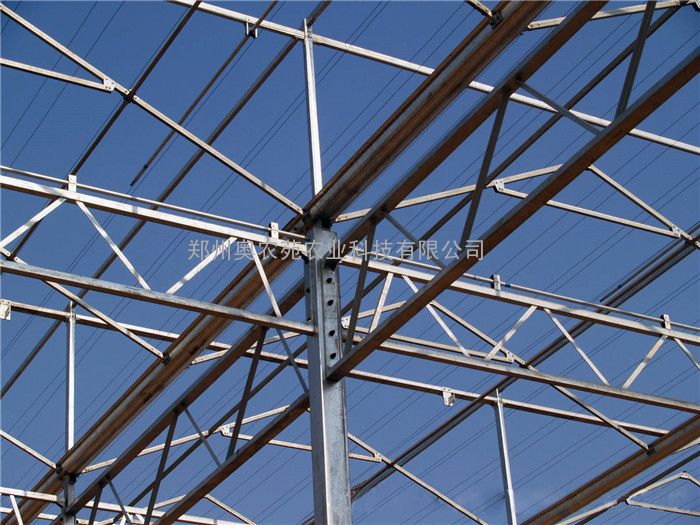 文洛型连栋温室大棚结构安全之桁架分析