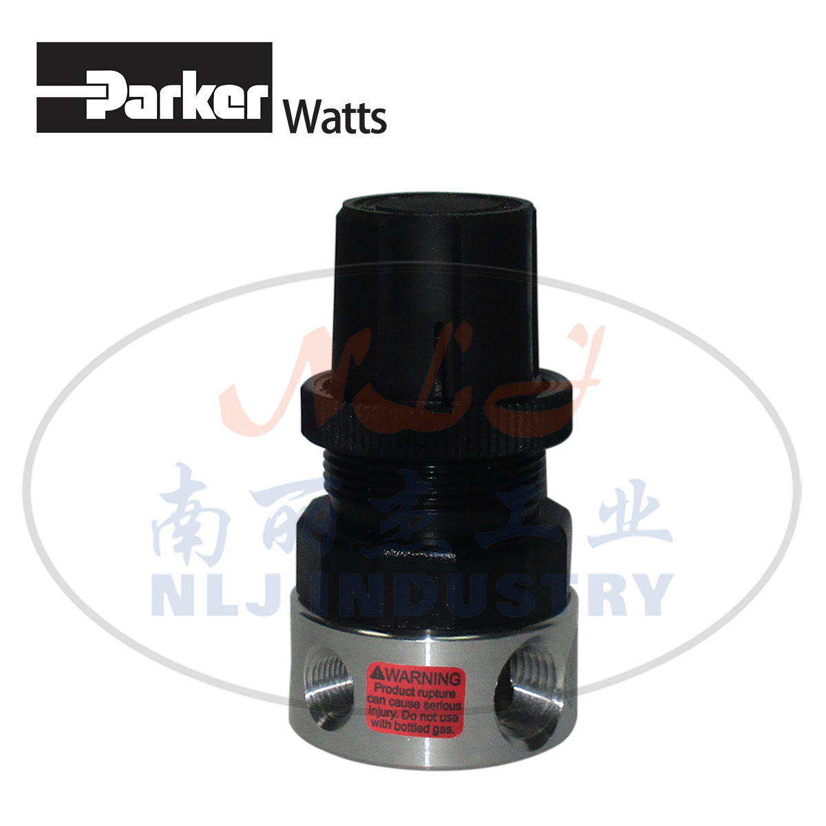 Parker(ɿ)WattsѹR374-02CP