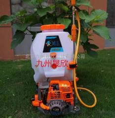 鿴ͼƬ